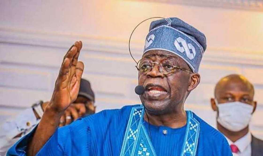 Jam'iyya Zata Maka Tinubu a Kotu Kan Bayanan Bogi a Takardun Karatunsa Jam'iyya Zata Maka Tinubu a Kotu Kan Bayanan Bogi a Takardun Karatunsa