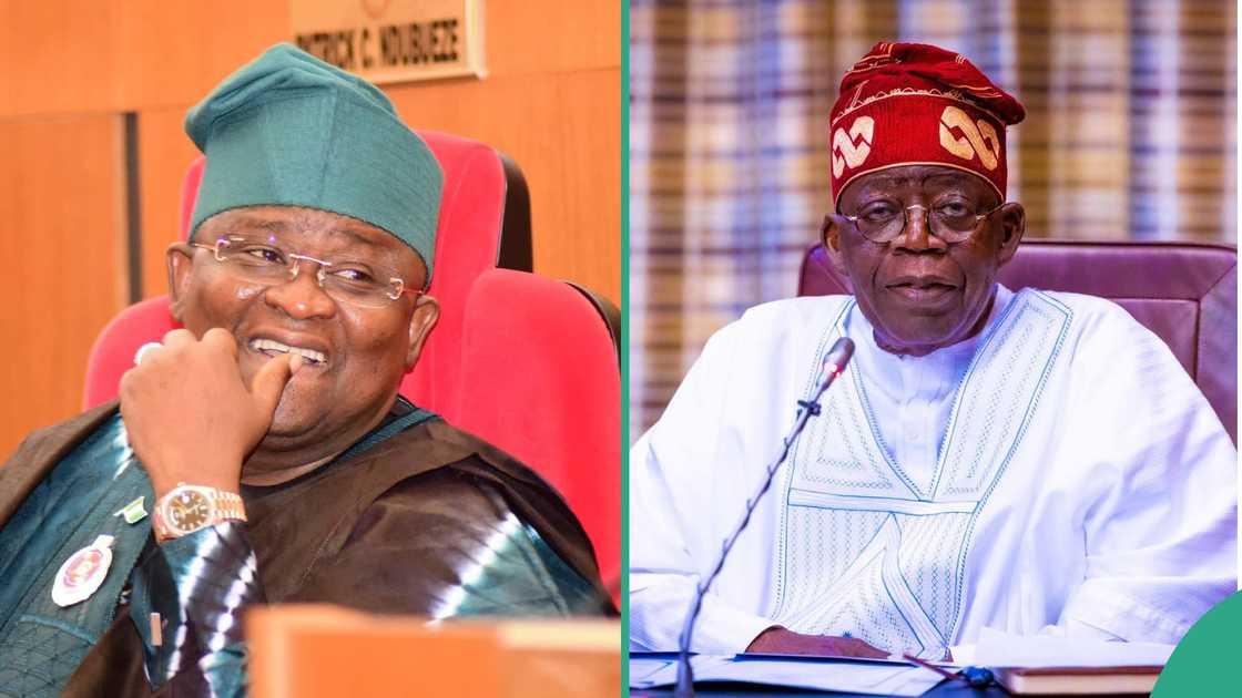 Senator Adeola reveals Tinubu saved the nation's dying economy Senator Adeola reveals Tinubu saved the nation's dying economy