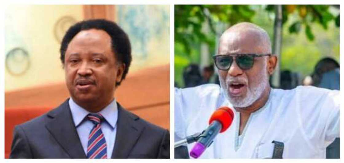 Herdsmen: Shehu Sani sides presidency, sends message to Akeredolu Herdsmen: Shehu Sani sides presidency, sends message to Akeredolu