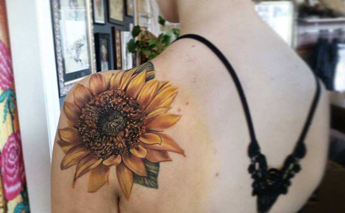 Sunflower design Sunflower design