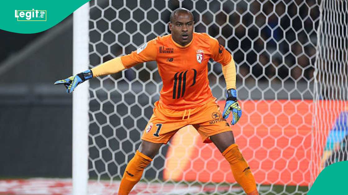 Vincent Enyeama, Super Eagles, Nigeria Vincent Enyeama, Super Eagles, Nigeria