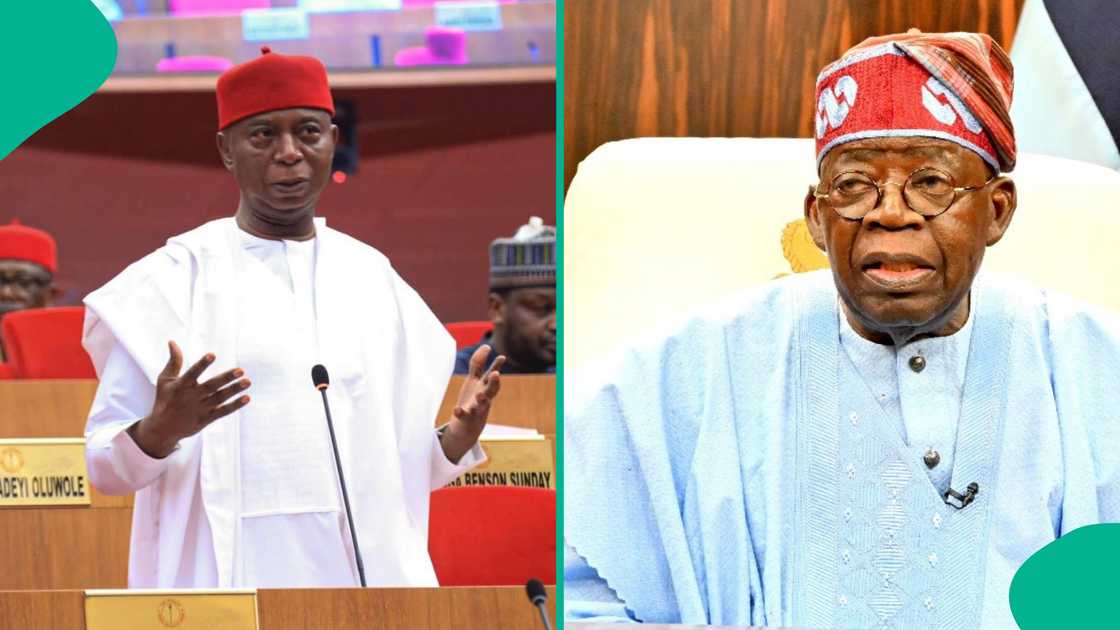Senator Ned Nwoko calls on President Bola Tinubu to approve creation of Anioma state and release Nnamdi Kanu to address ongoing unrest in Nigeria's south-east. Senator Ned Nwoko calls on President Bola Tinubu to approve creation of Anioma state and release Nnamdi Kanu to address ongoing unrest in Nigeria's south-east.