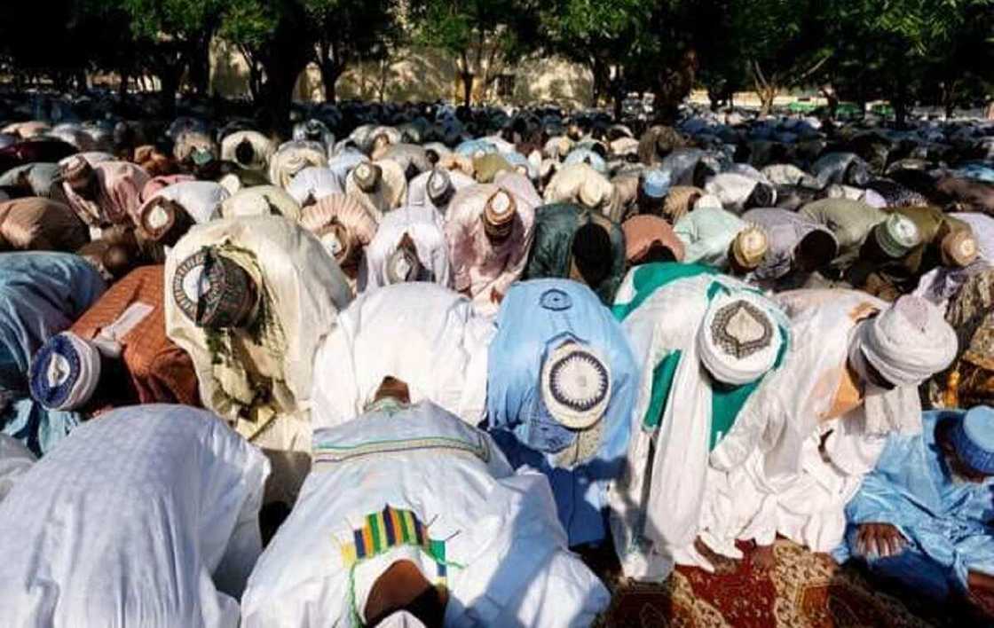 'Yan bindiga sun kashe masallata 5, sun sace liman da mutum 40 yayin sallar Juma'a a Zamfara 'Yan bindiga sun kashe masallata 5, sun sace liman da mutum 40 yayin sallar Juma'a a Zamfara