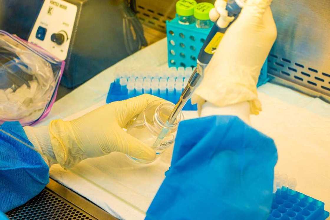We have not allocated COVID-19 vaccines to the rich, FG says We have not allocated COVID-19 vaccines to the rich, FG says