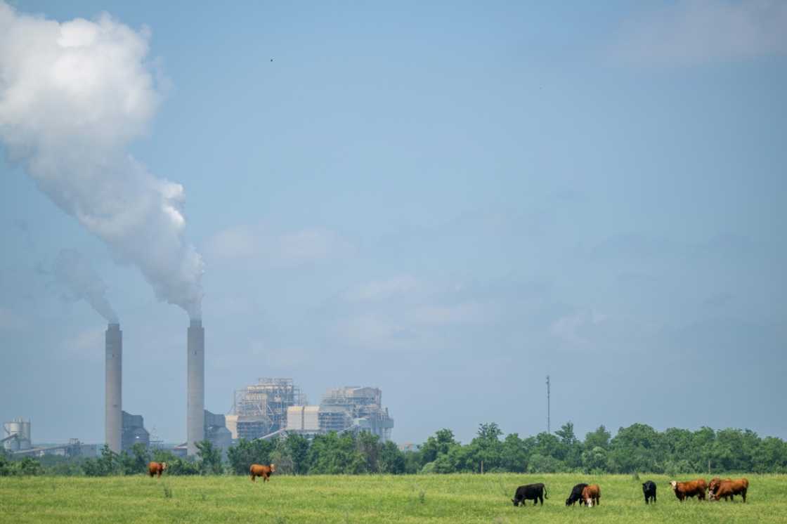 The race is on to find economically viable solutions for carbon sequestration and storage, with all eyes on how Donald Trump's US government addresses the nascent industry The race is on to find economically viable solutions for carbon sequestration and storage, with all eyes on how Donald Trump's US government addresses the nascent industry