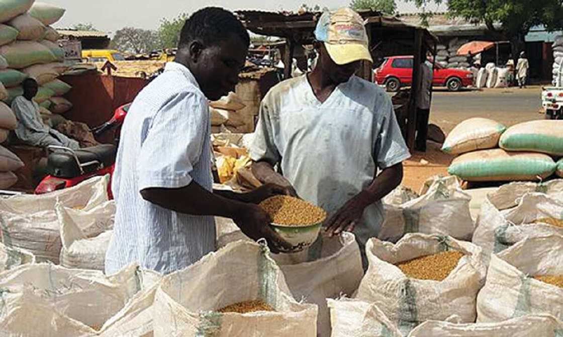 Kasuwar Hatsi Kasuwar Hatsi