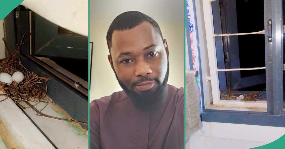Nigerian man causes uproar, shares eggs he found in friend's bathroom Nigerian man causes uproar, shares eggs he found in friend's bathroom