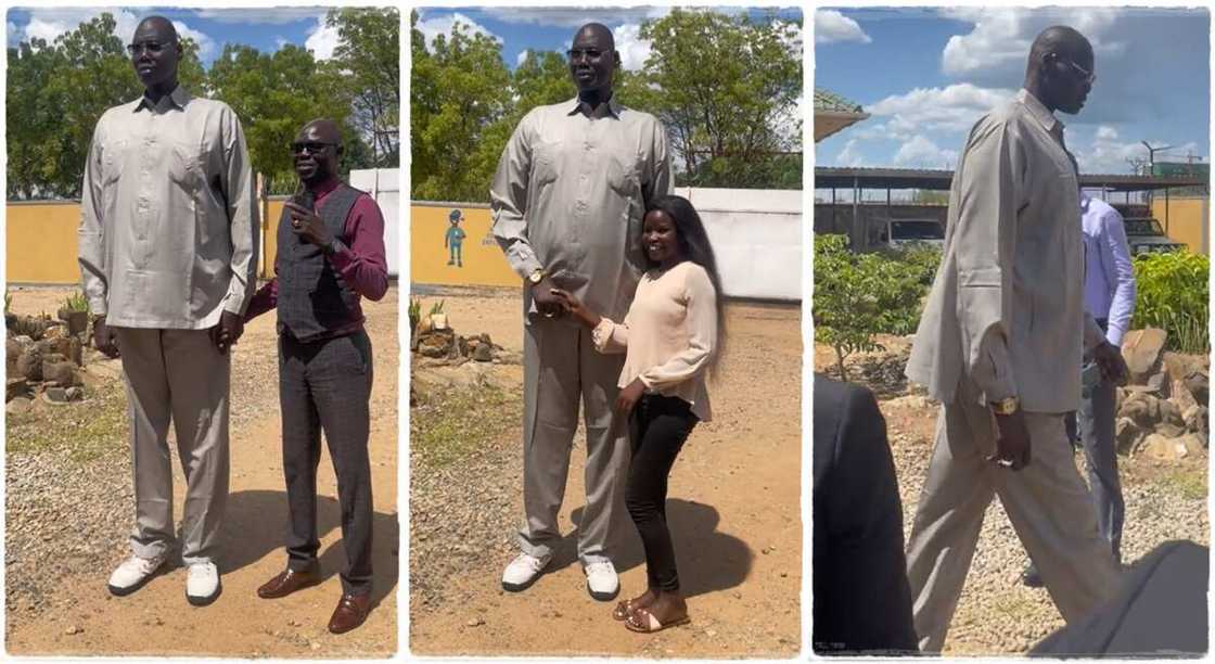 Photos of a tall man taking photos with people. Photos of a tall man taking photos with people.