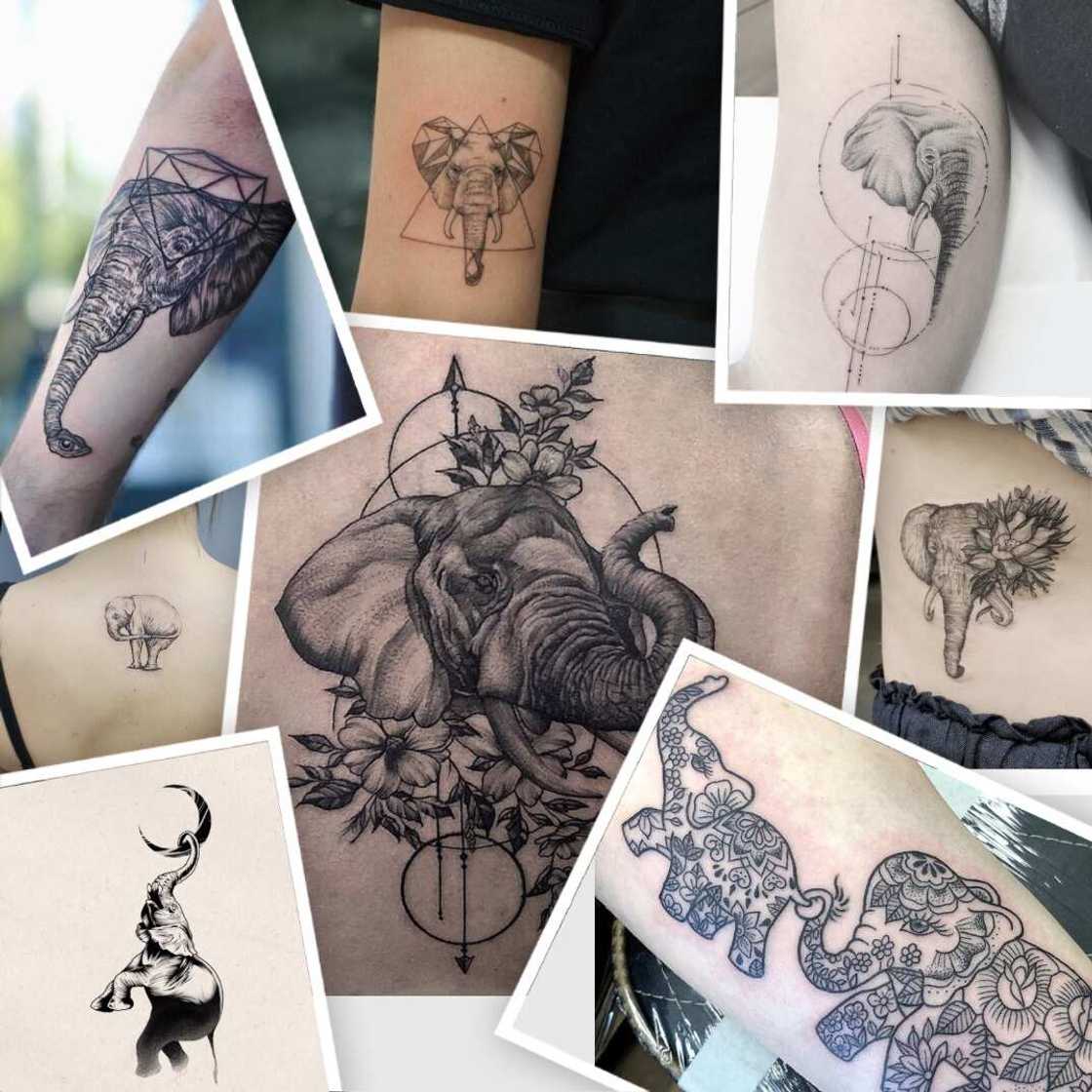 Elephant tattoo Elephant tattoo
