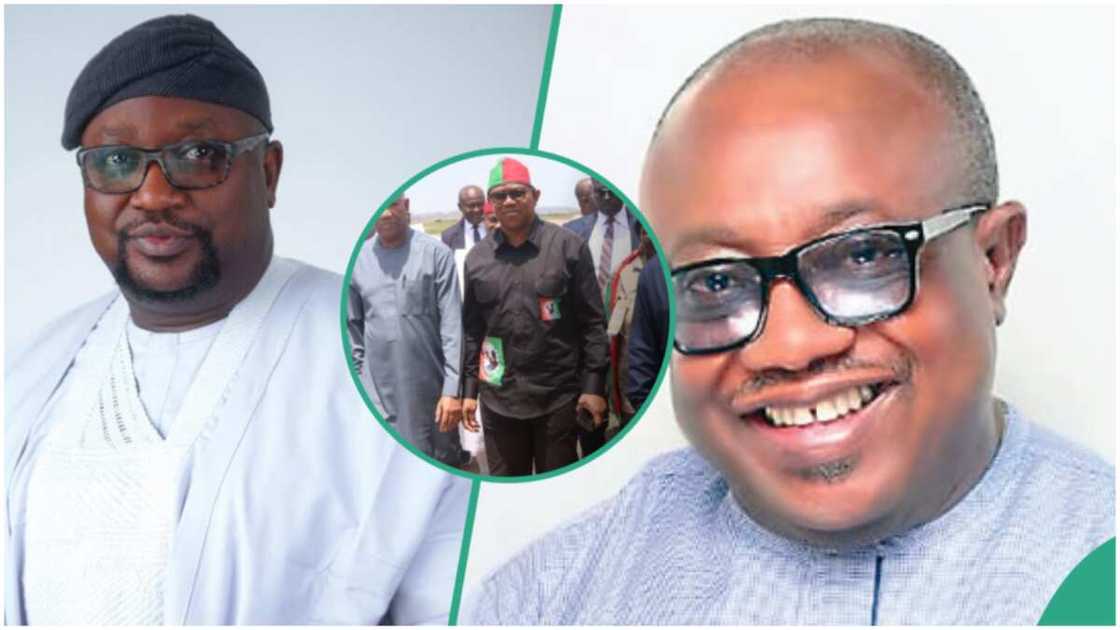 LP/Seyi Sowunmi/Ngozi Okolie/Labour Party/House of Representatives/PDP/APC/2023 Election/Lagos/Delta LP/Seyi Sowunmi/Ngozi Okolie/Labour Party/House of Representatives/PDP/APC/2023 Election/Lagos/Delta