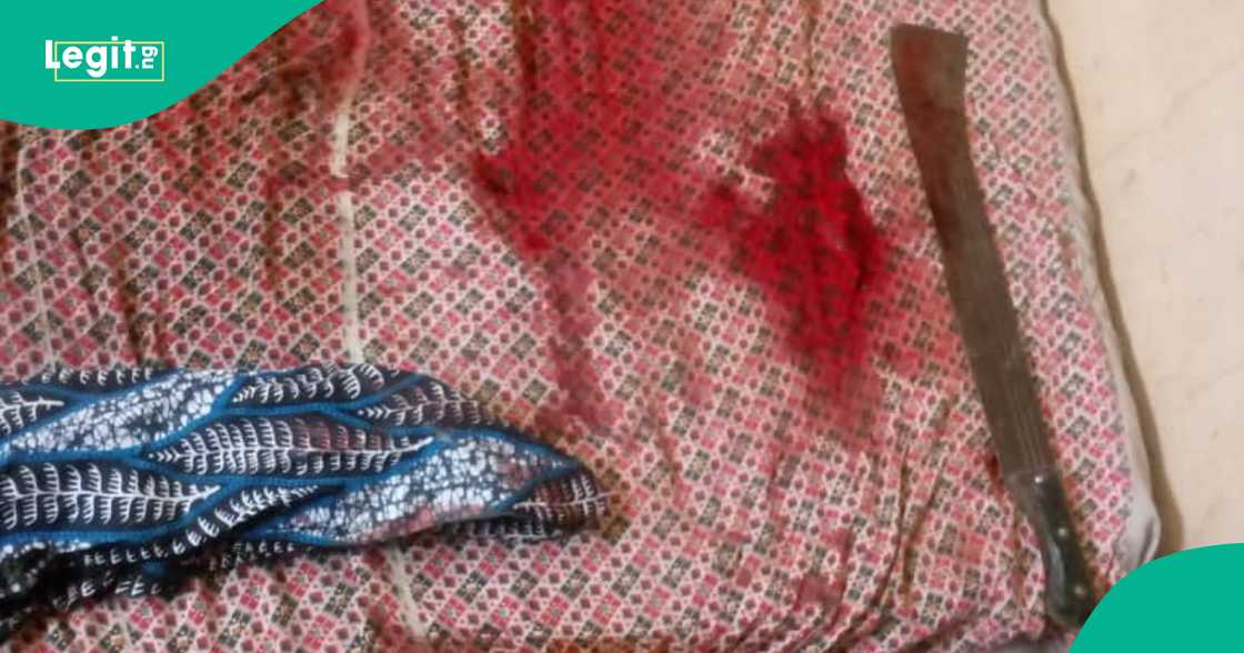 An kama matashin da ya kashe mahaifinsa a Jigawa. An kama matashin da ya kashe mahaifinsa a Jigawa.