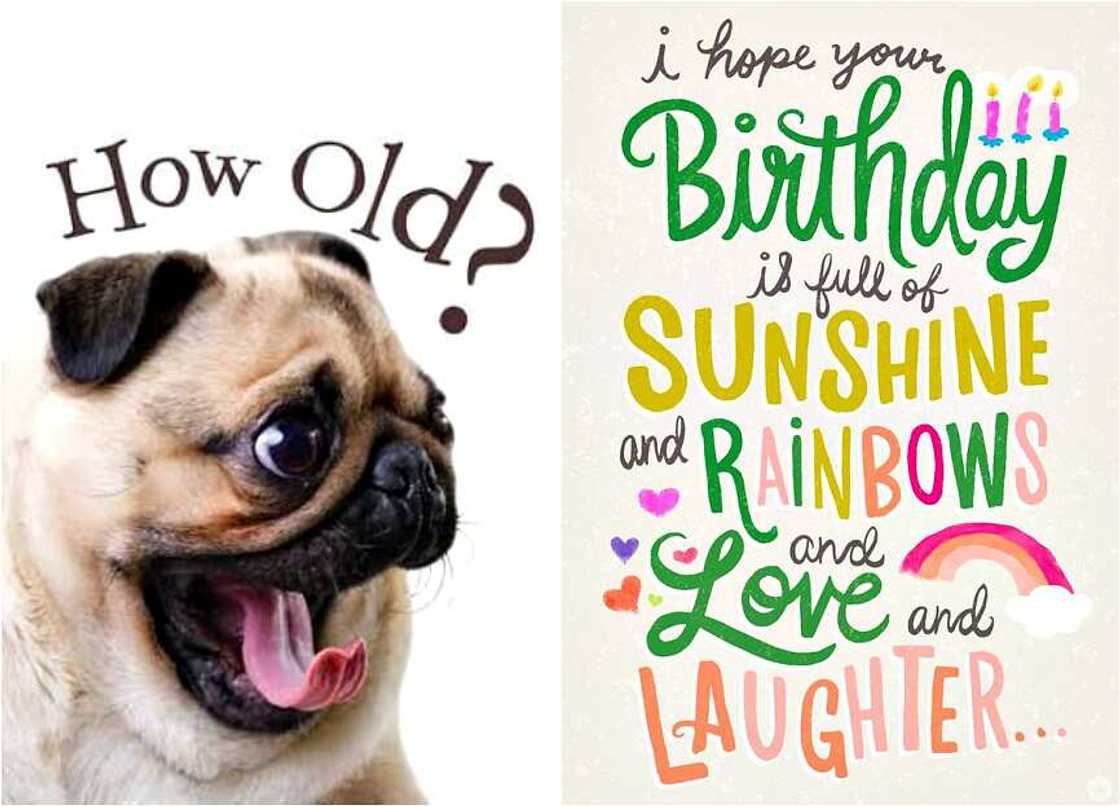 Funny birthday wishes Funny birthday wishes