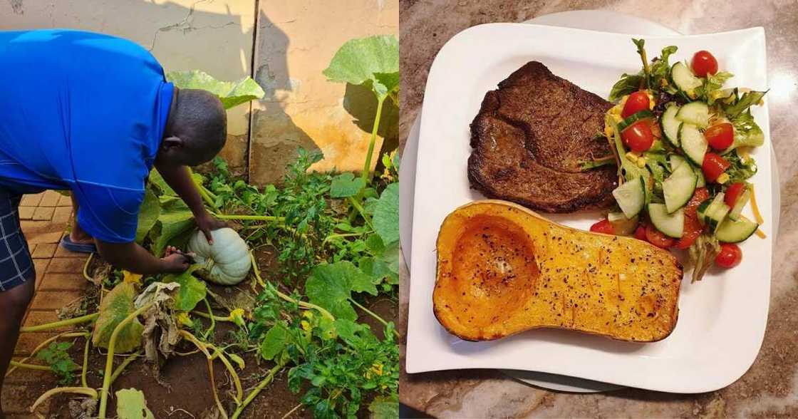 Chow what you grow: SA man impresses with food cooked from garden Chow what you grow: SA man impresses with food cooked from garden