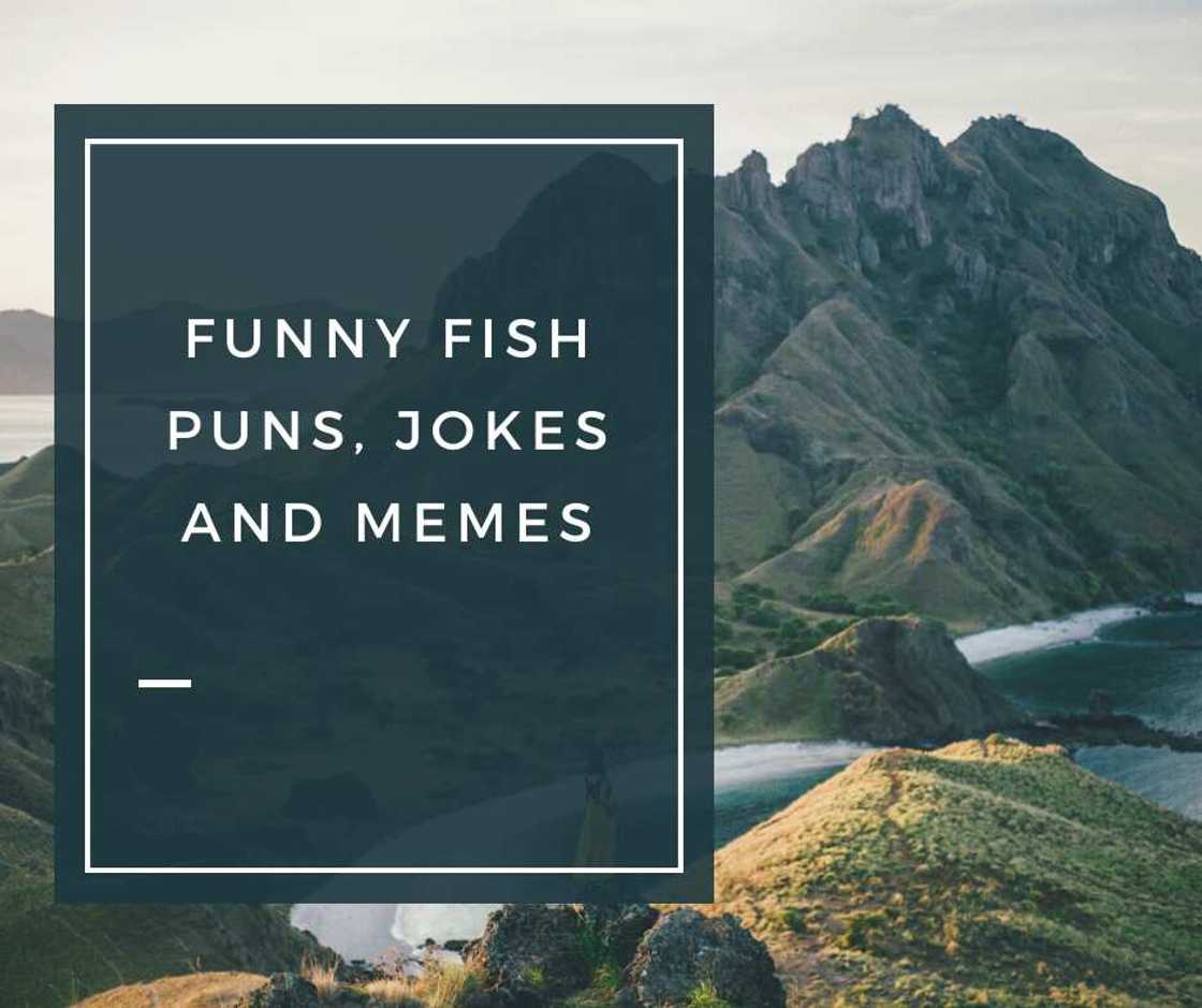 fish puns fish puns