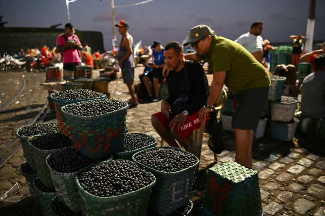 The Acai Market on the shores of the Guajara Bay in Belem, Para state, Brazil The Acai Market on the shores of the Guajara Bay in Belem, Para state, Brazil