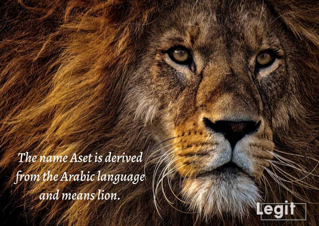 Kazakh names: Aset Kazakh names: Aset