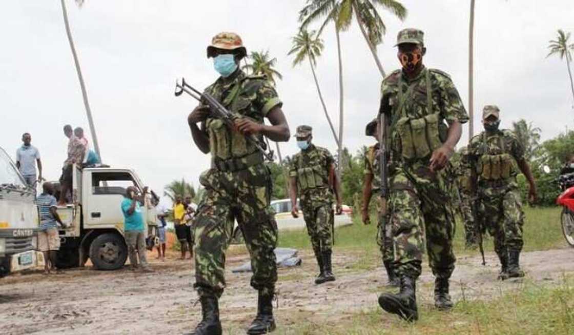 Yadda zakuna da kadoji suka yi kaca-kaca da 'yan ta'adda Yadda zakuna da kadoji suka yi kaca-kaca da 'yan ta'adda