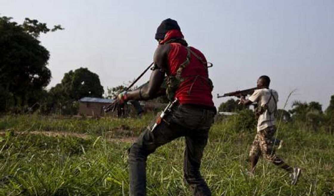 'Yan bindiga sun kashe shugaban PDP a Katsina 'Yan bindiga sun kashe shugaban PDP a Katsina