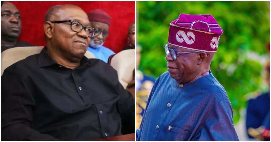 Peter Obi vs Bola Tinubu/Latest about Bola Tinubu