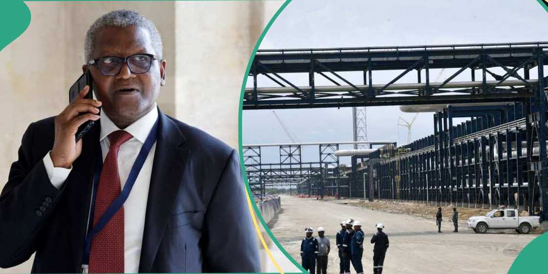 Dangote moves to establish steel production plant