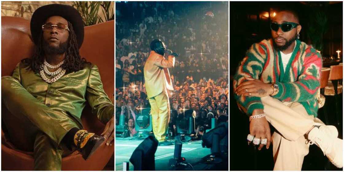 Burna Boy, Burna Boy's concert, Davido