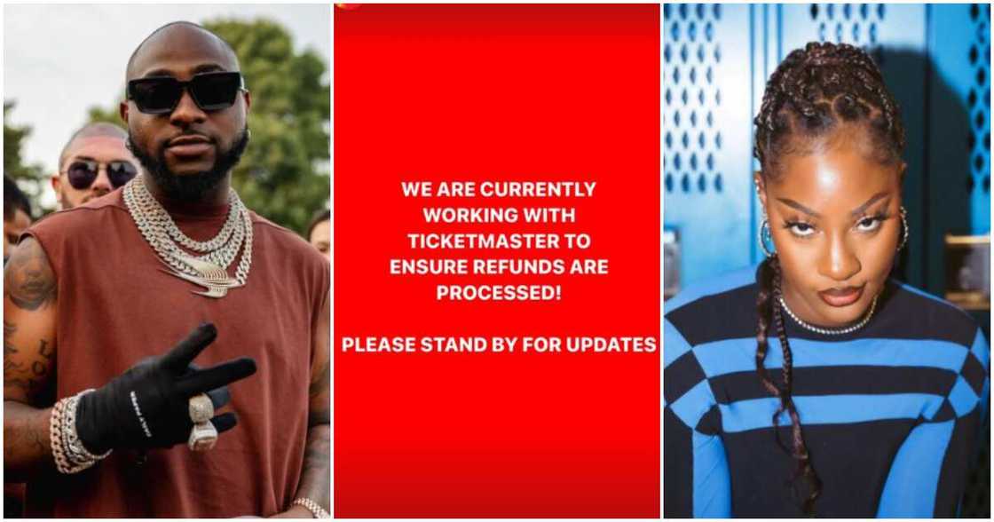 Davido rejected as Tems' replacement Davido rejected as Tems' replacement