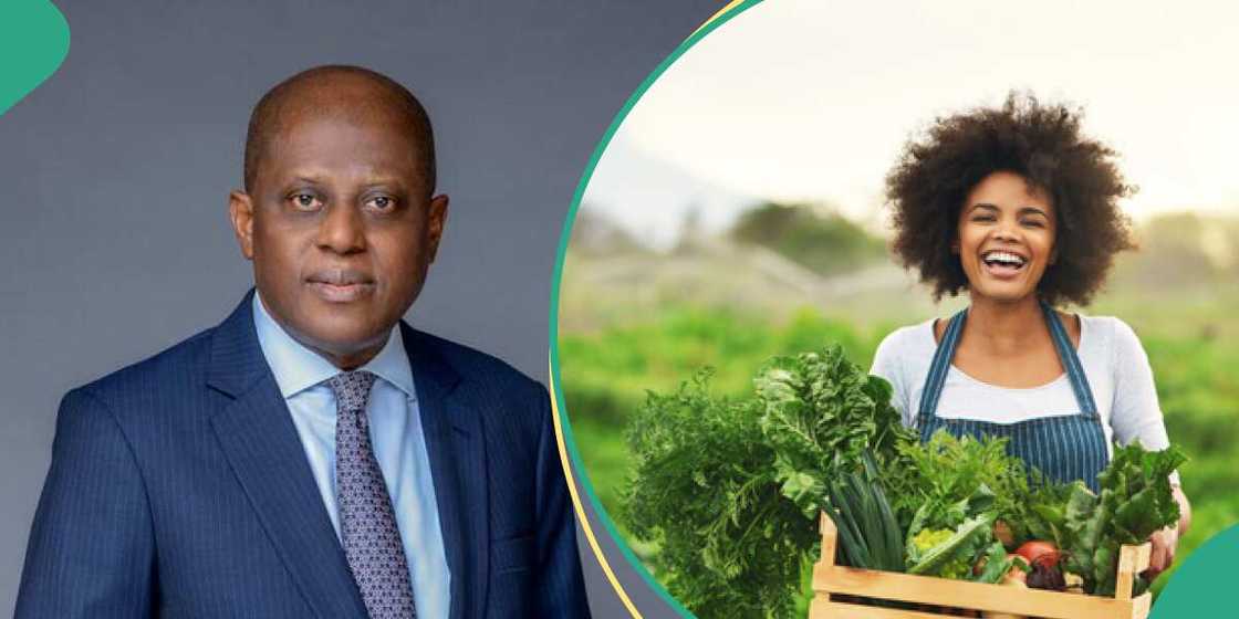 CBN to buyy fertilizers for farmers CBN to buyy fertilizers for farmers