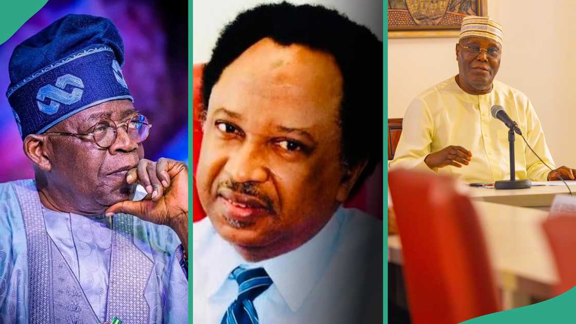 Shehu Sani asked Atiku and other northern presidential aspirants to wait till 2031 and allow southerners to complete their eight years. Shehu Sani asked Atiku and other northern presidential aspirants to wait till 2031 and allow southerners to complete their eight years.