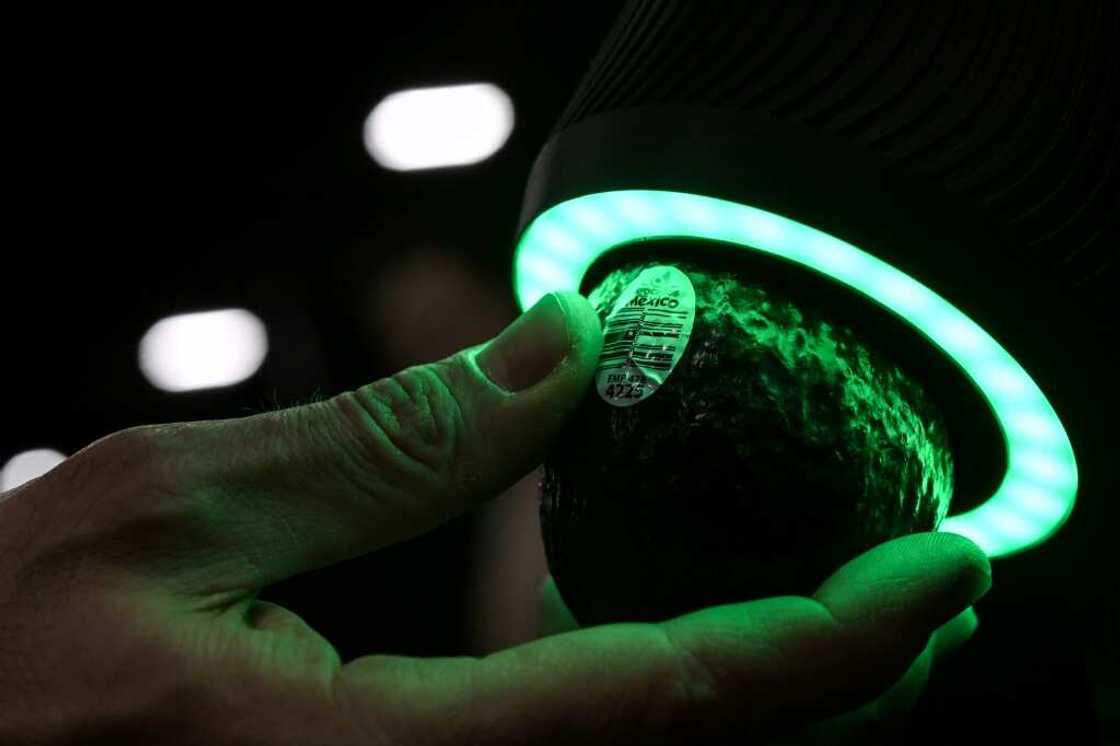 A device developed by the start-up company OneThird tells consumers if their avocados are ripe or not A device developed by the start-up company OneThird tells consumers if their avocados are ripe or not