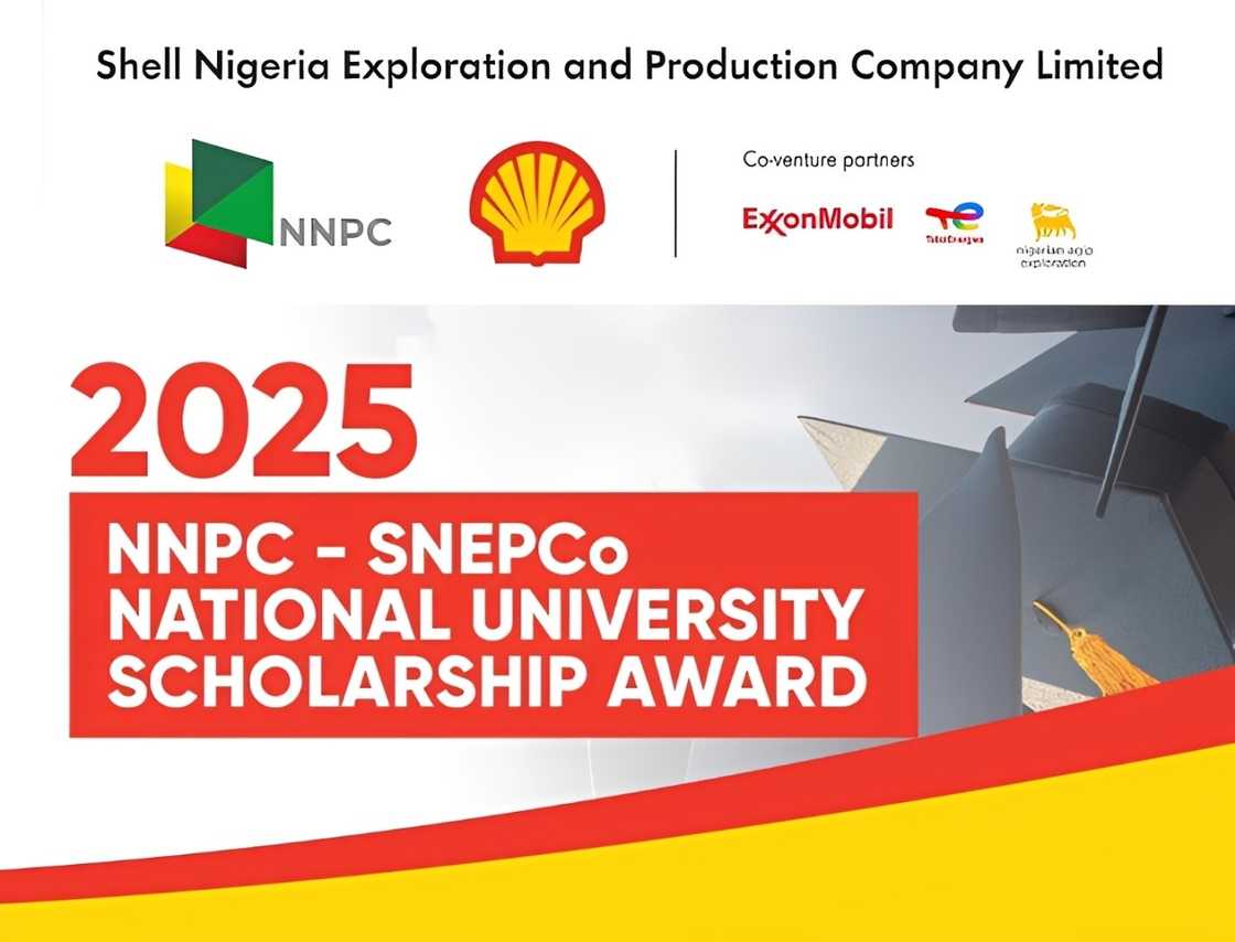 SNEPCo scholarship advertisement poster