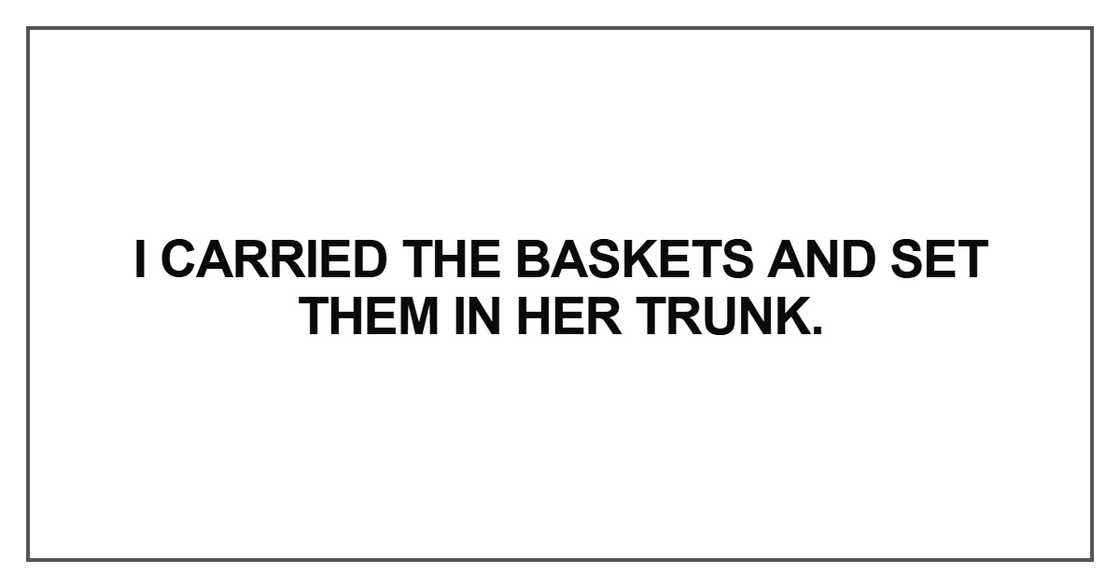 I carried the baskets and set them in her trunk