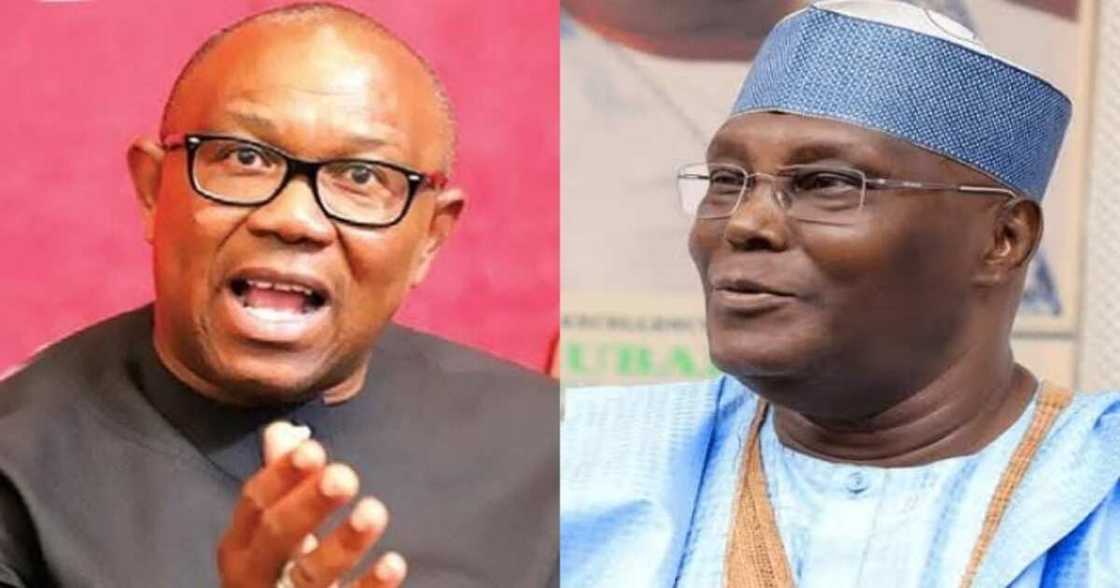 Atiku ya yi rashin matasan PDP, sun koma LP