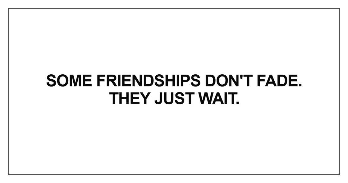 Some friendships don't fade. They just wait Some friendships don't fade. They just wait