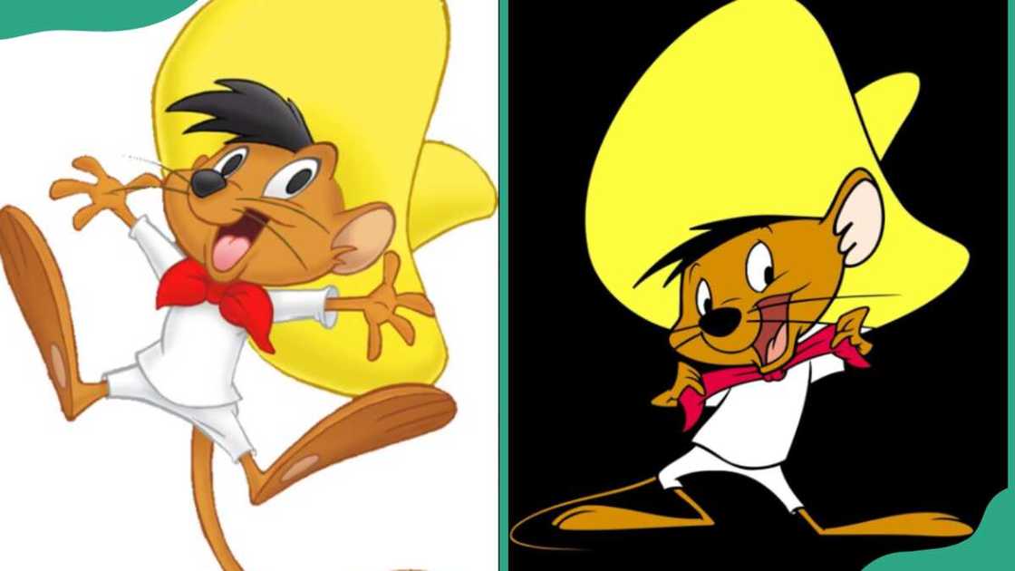 Speedy Gonzales male character