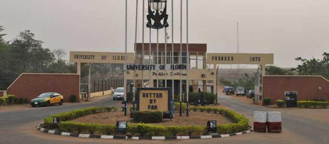 Unilorin, Job Vacancy Unilorin, Job Vacancy