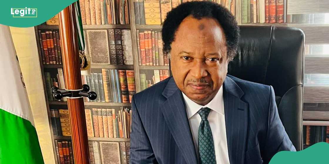 Shehu Sani ya yi magana kan zanga-zanga