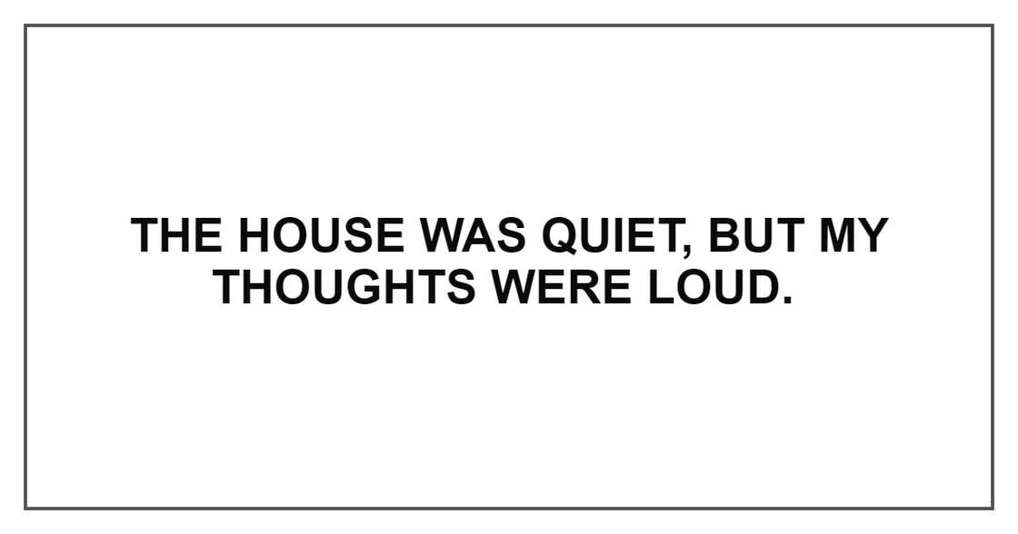 THE HOUSE WAS QUIET THE HOUSE WAS QUIET