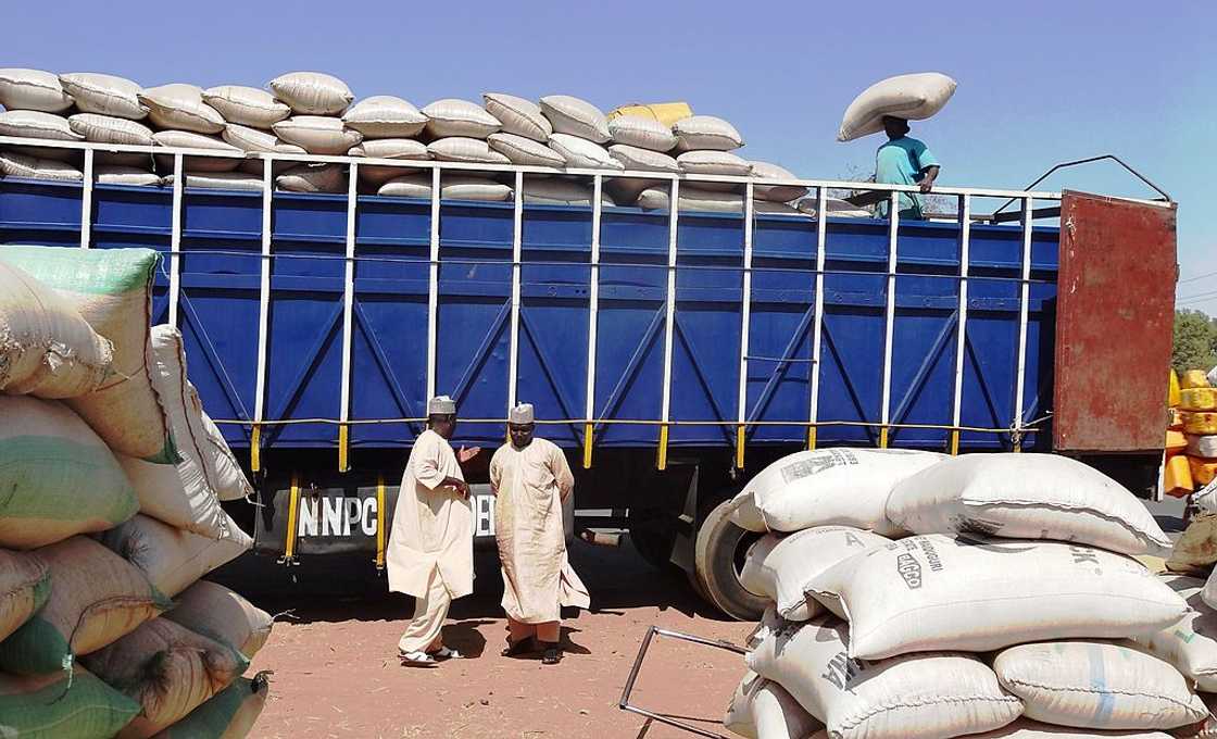 A porter loads sacks of grain onto a blue truck headed for Niger at Dawanau grain market in Kano, the largest grain market in West Africa.