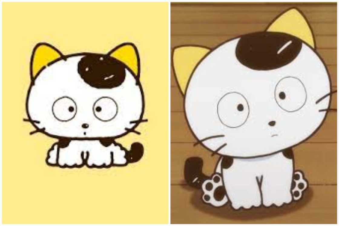 anime cat character