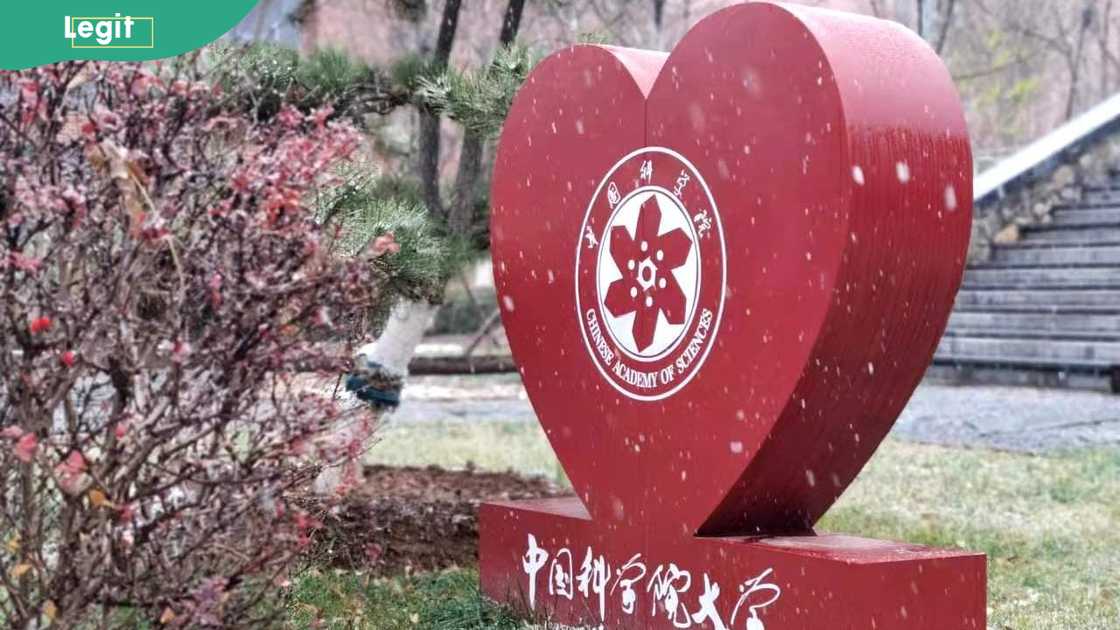 A red heart-shaped sculpture featuring the logo of the Chinese Academy of Sciences at its center