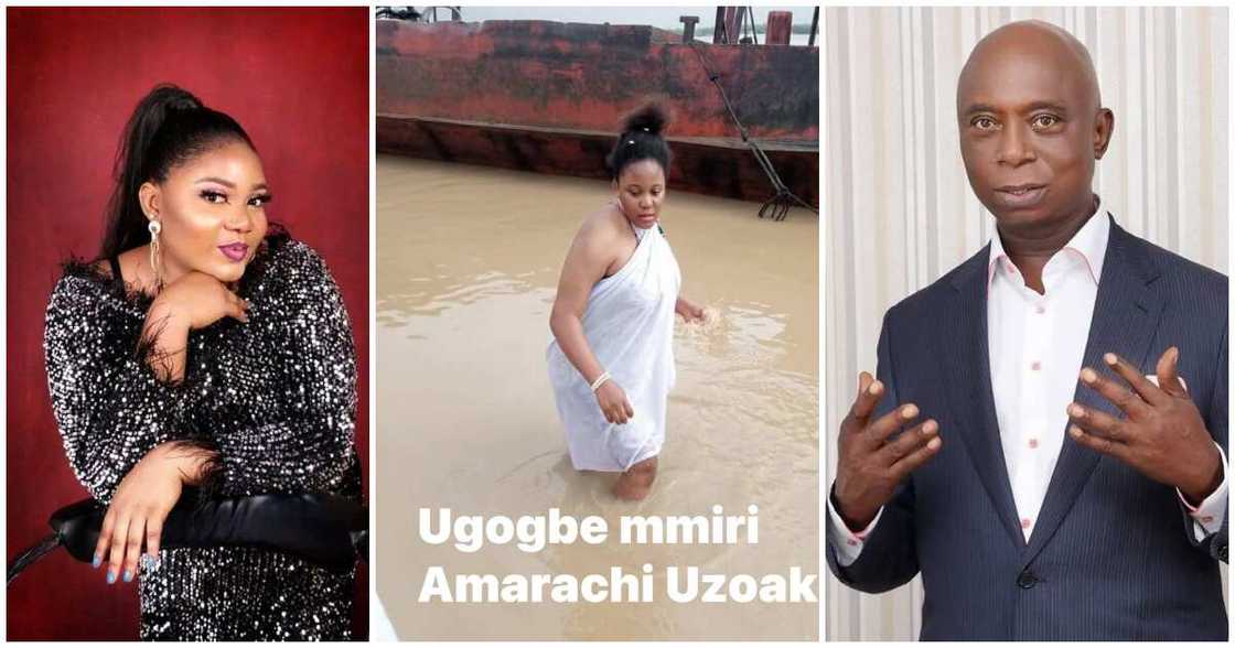 Precious Gift Amarachi, Ned Nwoko, Ned Nwoko latest news, Ned Nwoko's new wife Precious Gift Amarachi, Ned Nwoko, Ned Nwoko latest news, Ned Nwoko's new wife