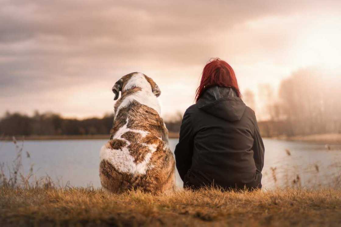 Comment vous entourer d'ondes positives ? 7 idées pour un cycle vertueux Comment vous entourer d'ondes positives ? 7 idées pour un cycle vertueux