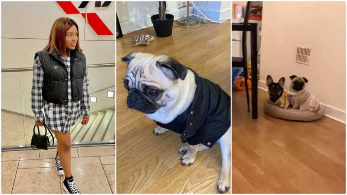 The lady's Yoruba sounded so funny. The lady's Yoruba sounded so funny.