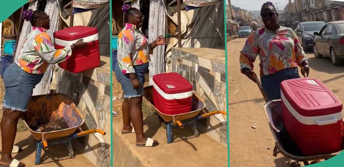 Lady who sells fruit juice in Abuja. Lady who sells fruit juice in Abuja.