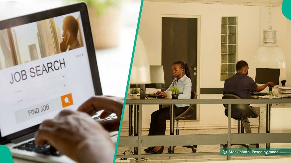The NRS has cautioned Nigerians against sharing personal or financial information in response to a fake FIRS job advert.