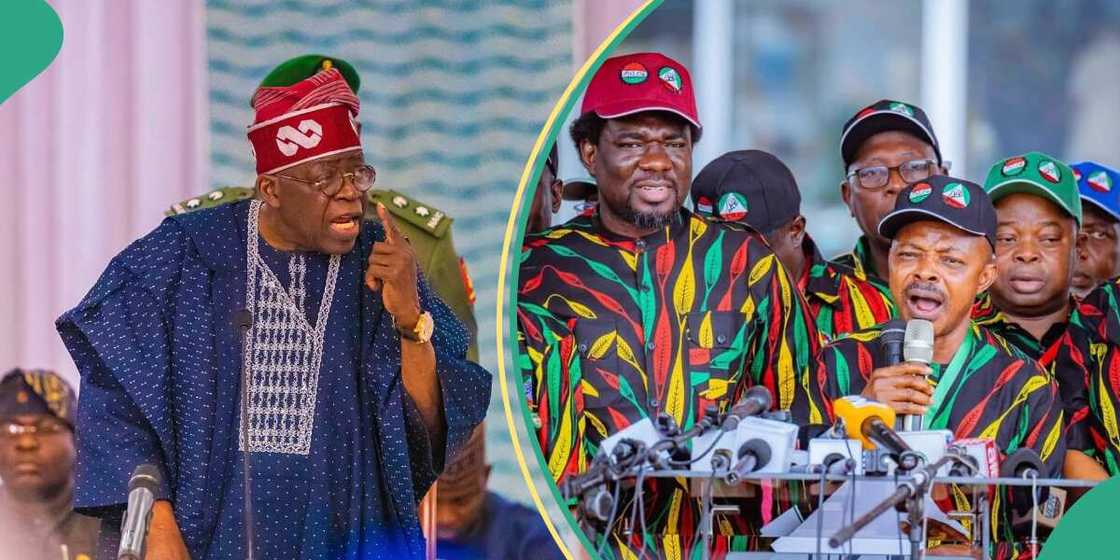 Strike: Nigerian workers get fresh threat from FG Strike: Nigerian workers get fresh threat from FG