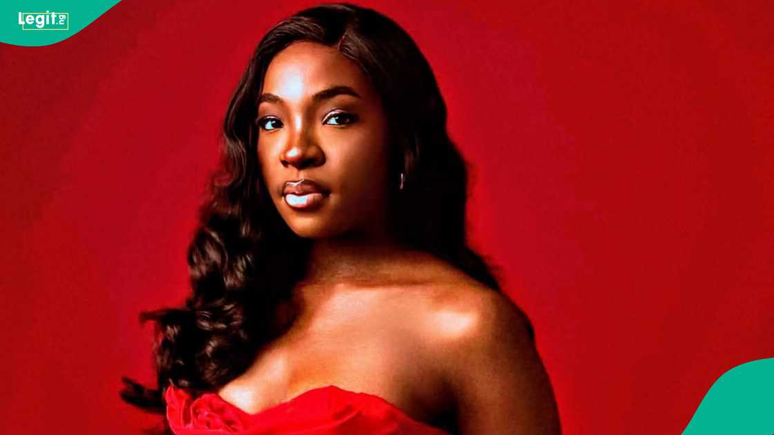 Dr. Saheed Kehinde highlights urgent need for anti-snake venom in PHCs.