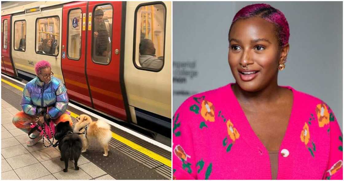 DJ Cuppy, dogs, train, Ferrari