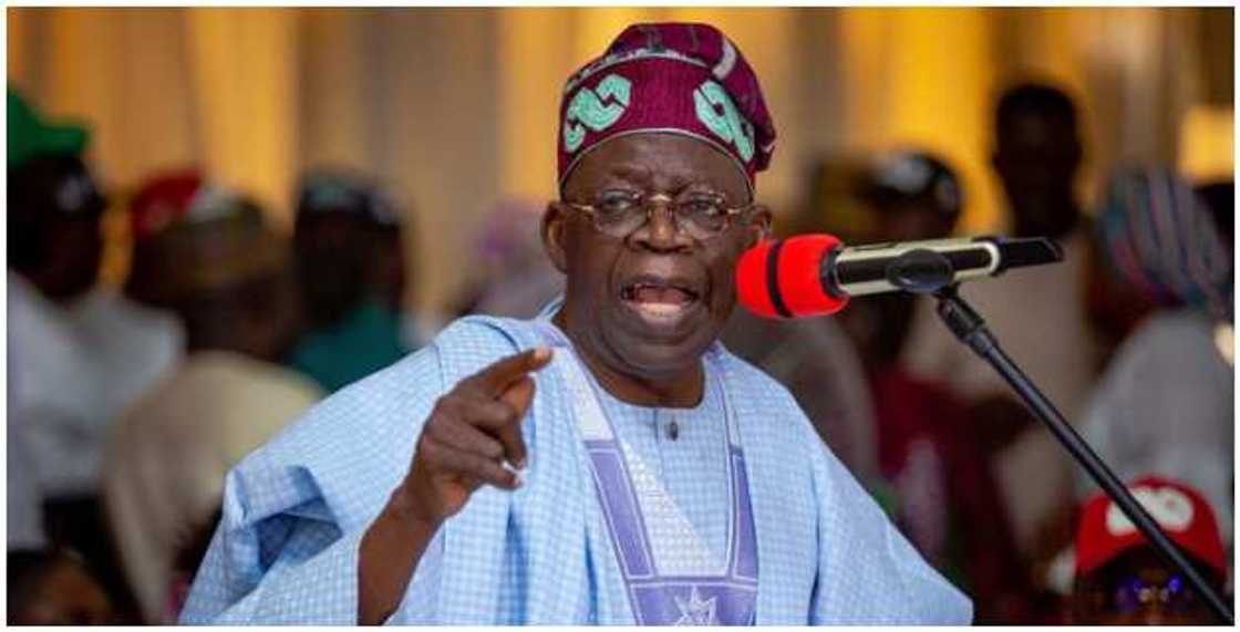 Bola Tinubu