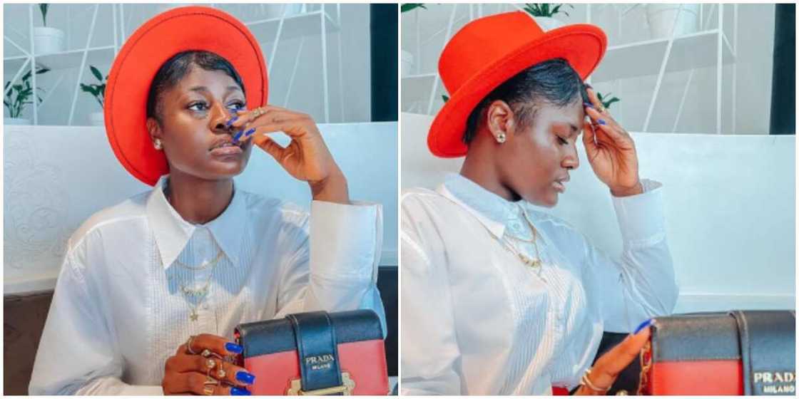 Alex Unusual Alex Unusual